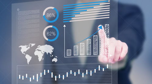 向前金服 背景介紹與信息技術咨詢服務分析